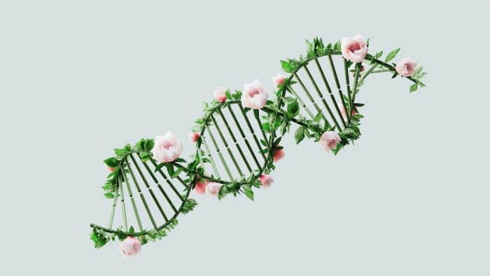 Comprendre les différents types de tests ADN pour mieux choisir celui qui convient à vos besoins de santé